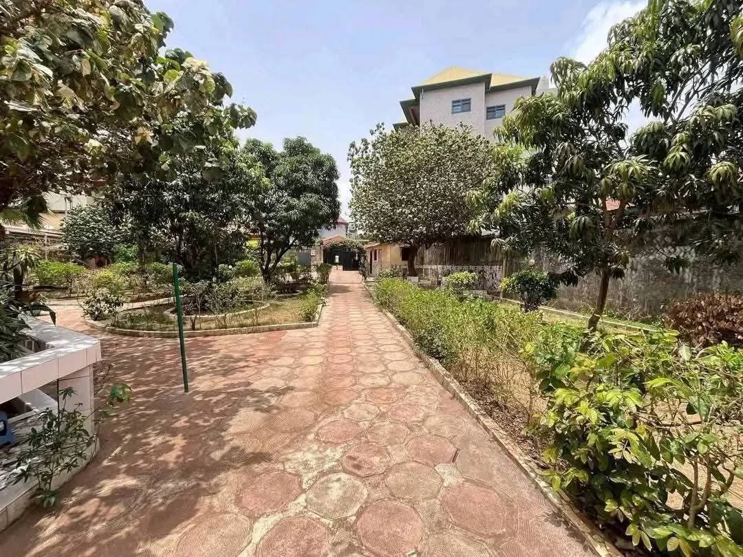 FB_IMG_1753267729015