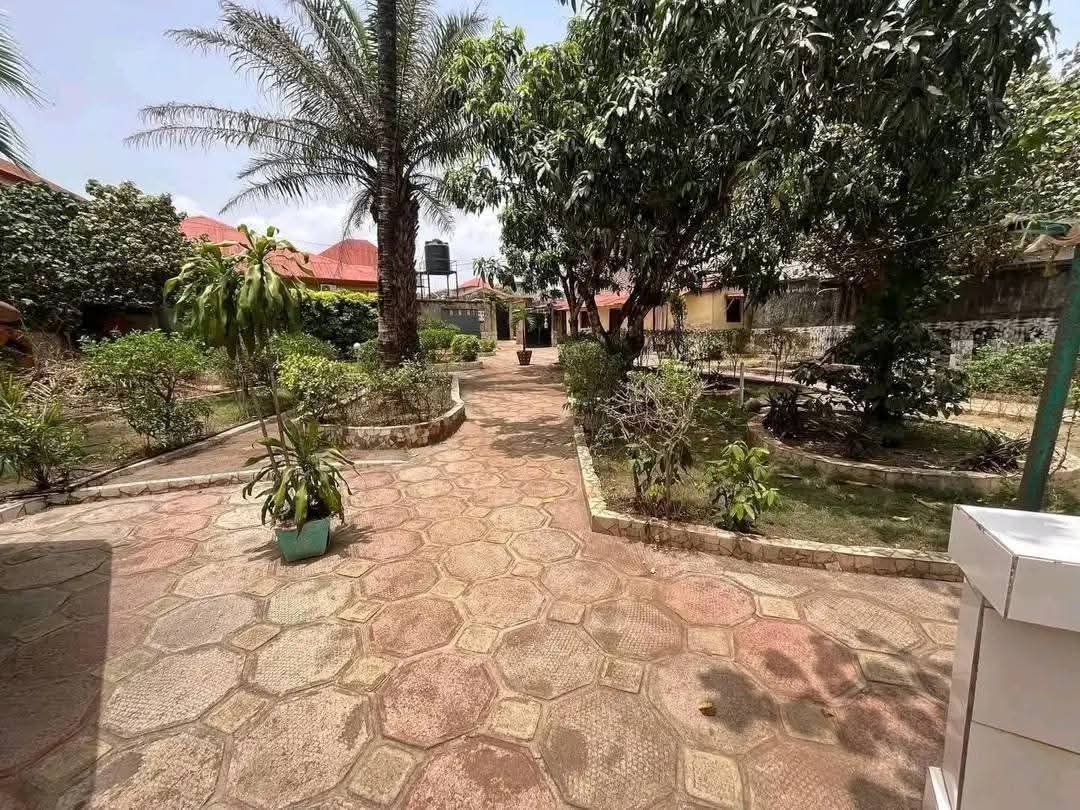 FB_IMG_1753267735814