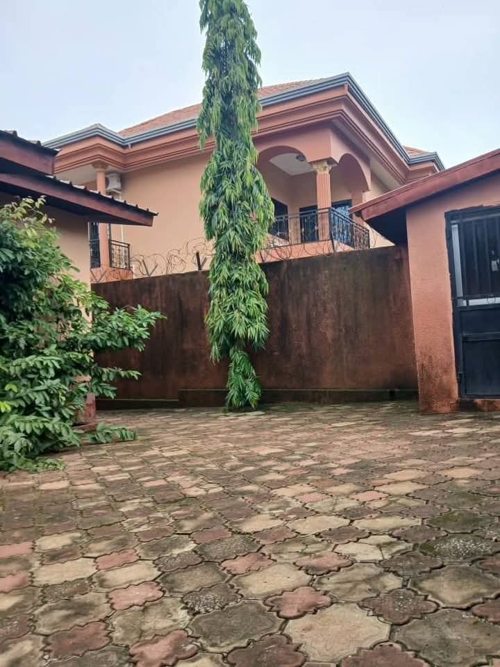 FB_IMG_1753464977204