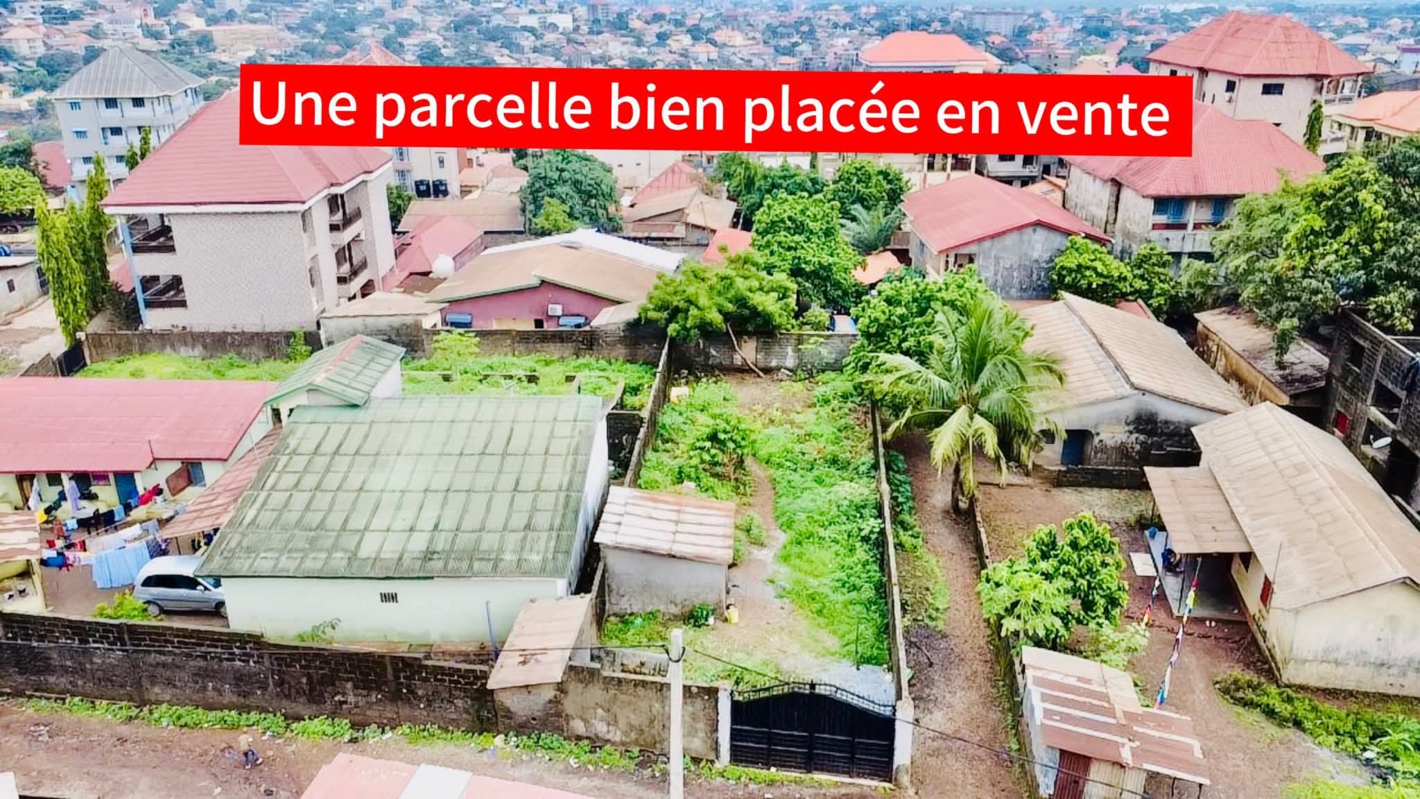 FB_IMG_1753700256954