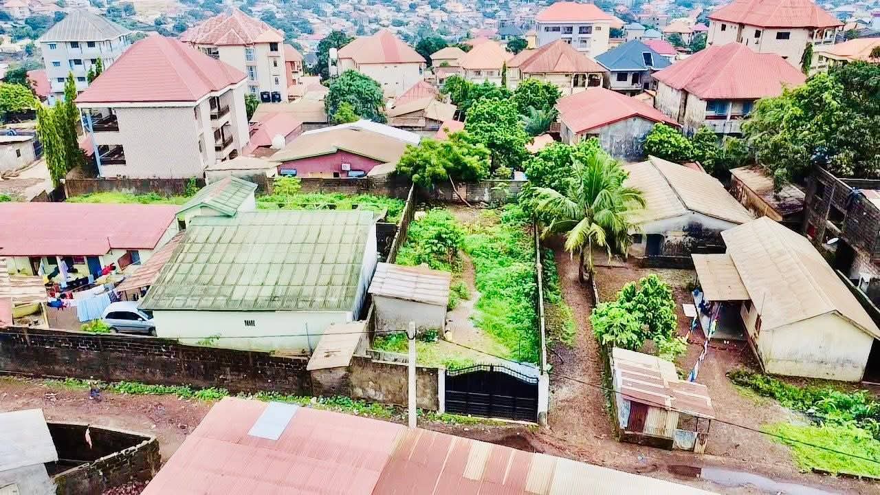 FB_IMG_1753700267252