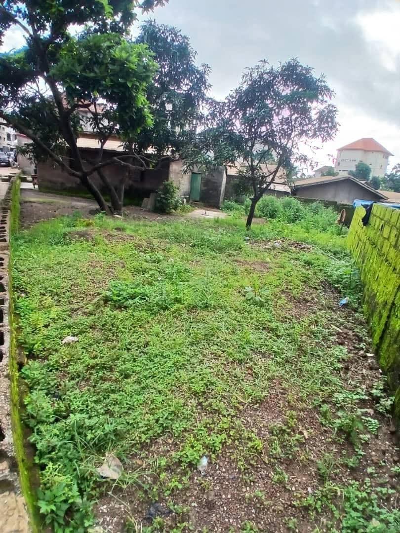 FB_IMG_1754044643734