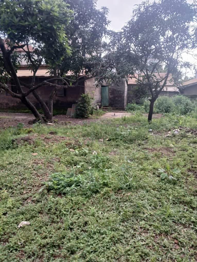 FB_IMG_1754044651724