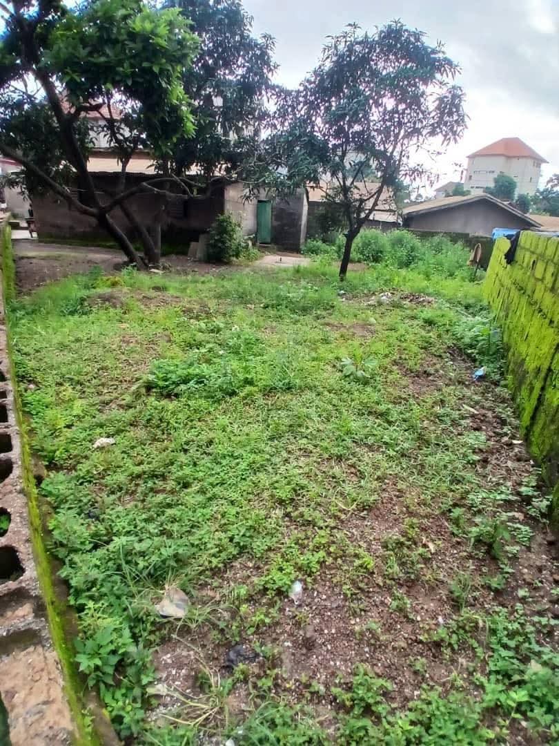 FB_IMG_1754044656639