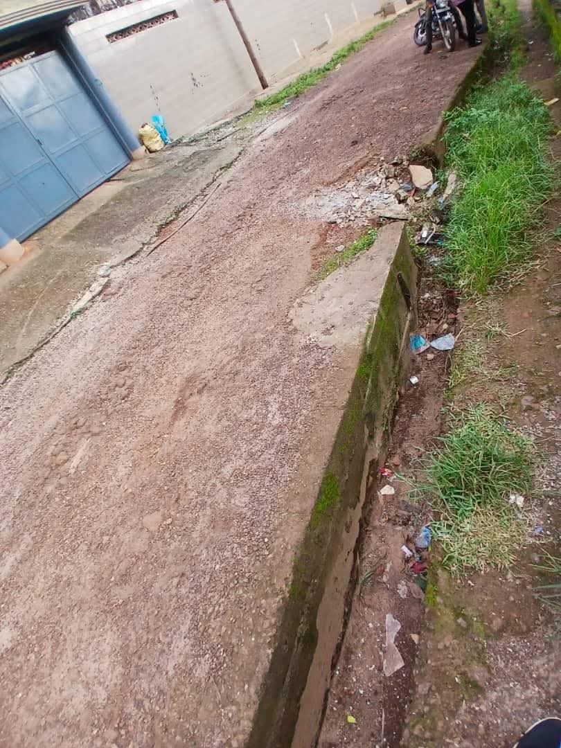 FB_IMG_1754044662966