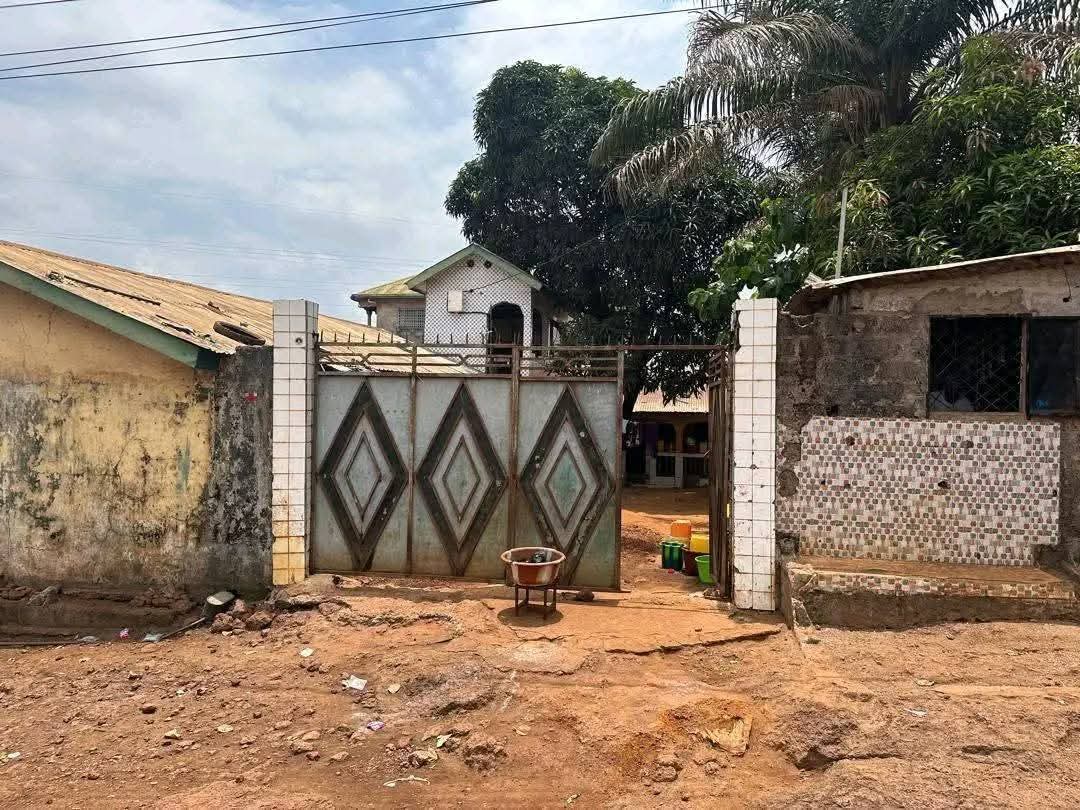 FB_IMG_1754571379936