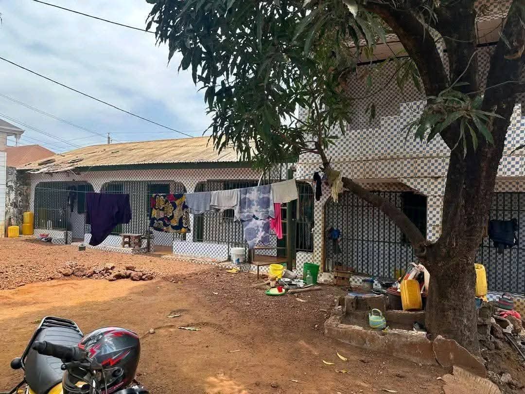 FB_IMG_1754571391352