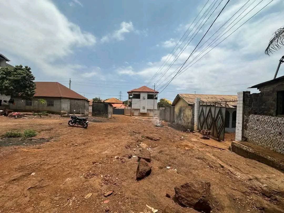 FB_IMG_1754571433613