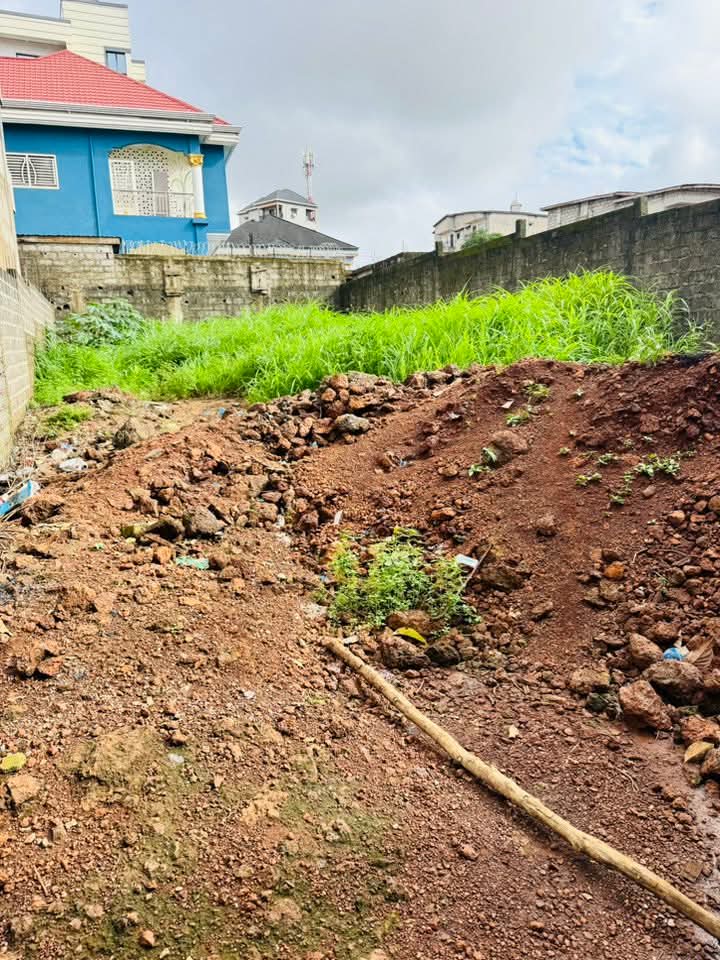 FB_IMG_1755097927337