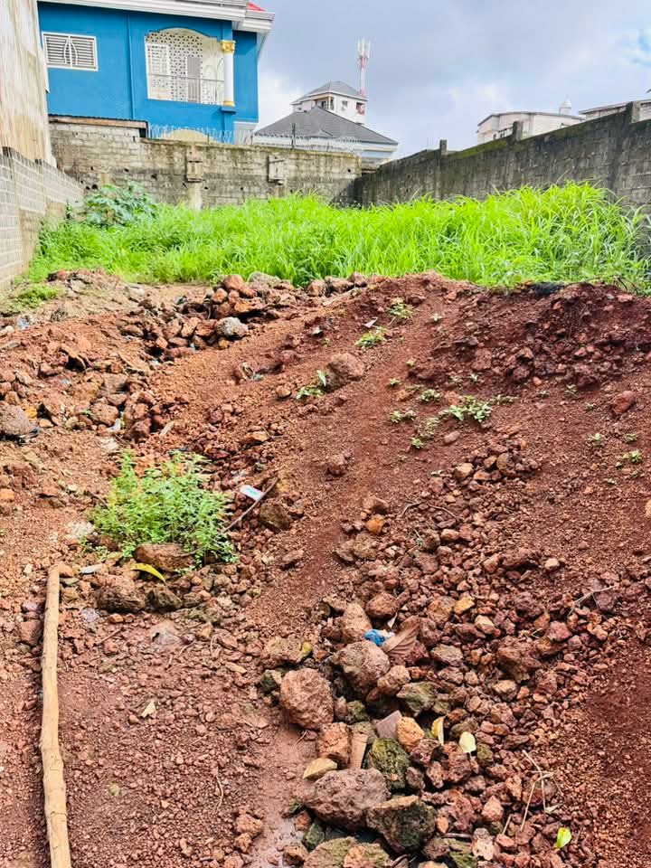 FB_IMG_1755097935722