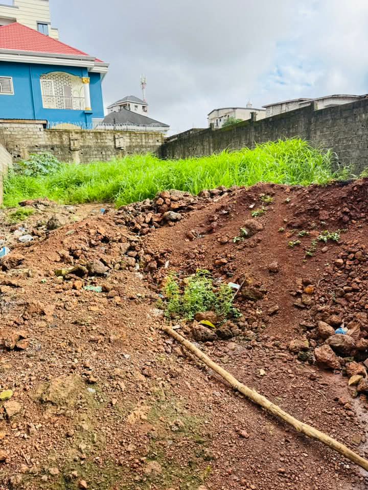 FB_IMG_1755097944671