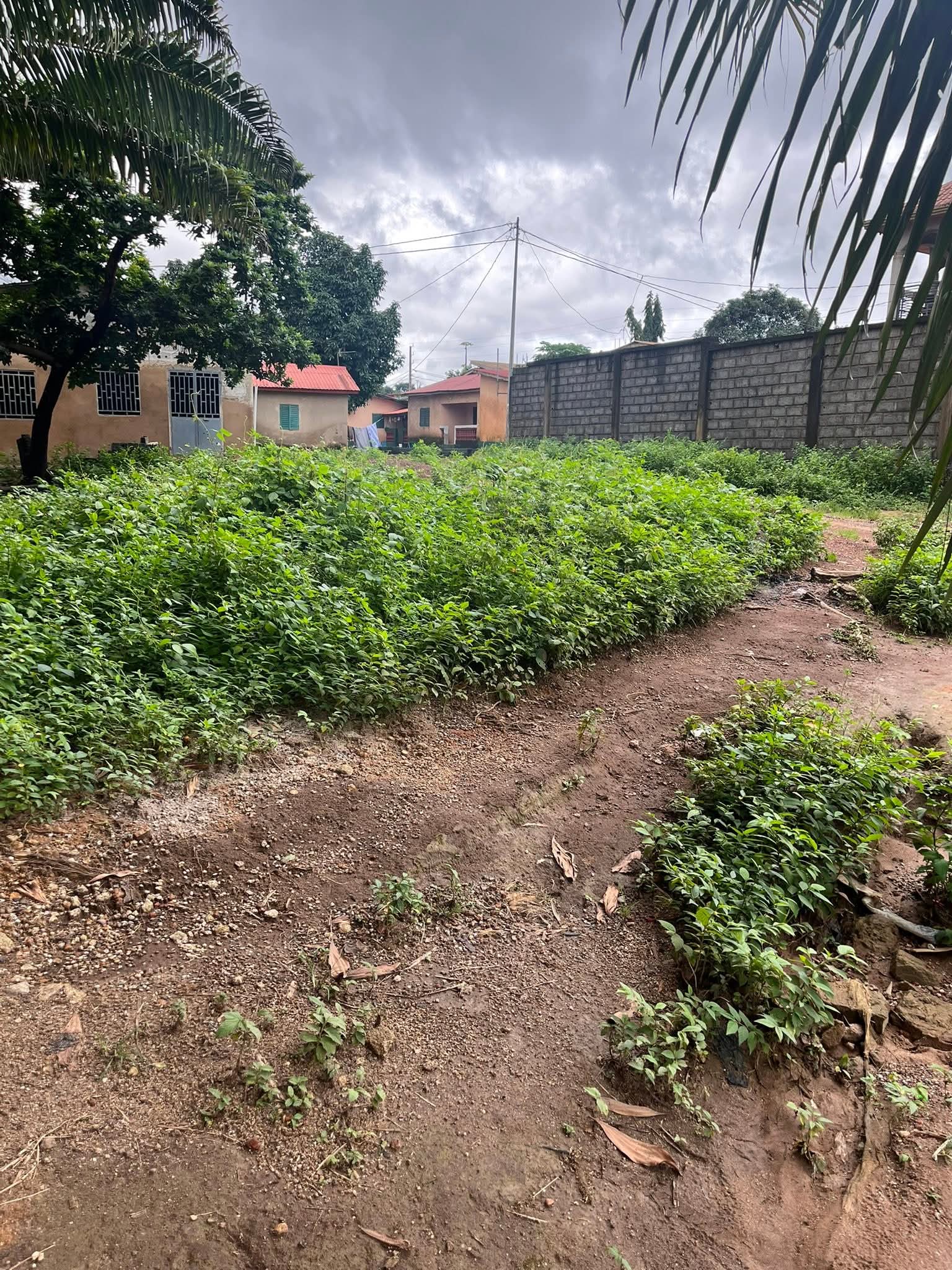 FB_IMG_1755790628605